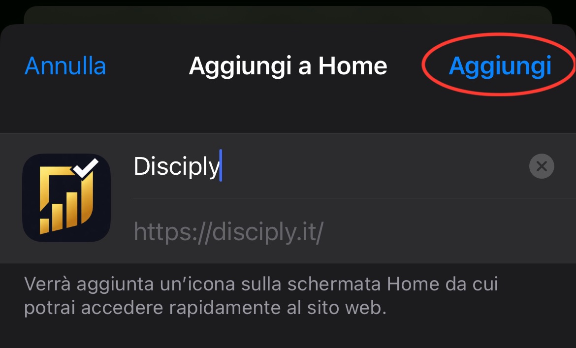 Step 3 - conferma installazione della webapp